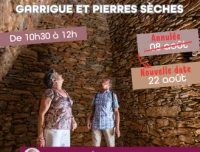 VISITES GUIDEES : BALADES SENSORIELLES ENTRE GARRIGUE ET PIERRES SECHES