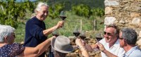 Œnotourisme : rendez-vous autour du vin