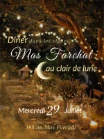 Le d&icirc;ner &eacute;l&eacute;gant du Mas FARCHAT  &copy; Mas Farchat