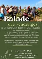 Balade vigneronne des vendanges - 1 &copy; OLLIER TAILLEFER