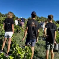 Ollier Taillefer 12 &copy;Ollier-Taillefer