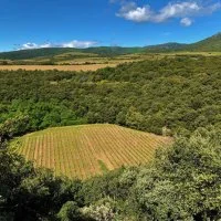 VisitUsPage_LowerImage_1_new-465x465 &copy; Domaine du M&eacute;t&eacute;ore