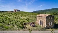 domaine-de-cebene--drone--vignes-bd-Olivier-Octobre-2 &copy; Olivier Octobre