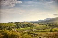 Colline d'ensemble chai, mazet &copy; Serge Chapuis