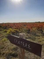 475518750_1247587990145340_5610624181689521603_n &copy; domaine du m&eacute;t&eacute;ore