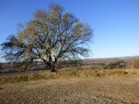 Ot-Avant-Monts-DEBERGUES-Chambre-d-hotes-les-Amandiers-vue--parking-exterieur © 2019 Mr Debergues Reynald -les Amandiers 