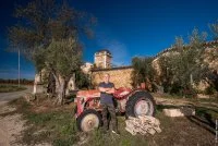 _DSC1069_01 &copy; Richard Holstein