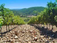 Vue du domaine © Gîtes de France