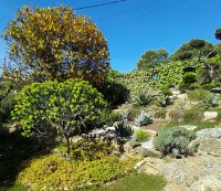 Partie inférieure du jardin © Jean-Yves GARDAIS           AUTIGNAC