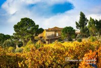 DOMAINE DE CADABLES - 4 ©2018 - Domaine de Cadablès - Sud de France