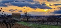 Domaine la Limbardière - OT AVANT MONTS 2022 © RIVEMALE