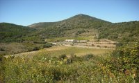 DOMAINE DES MADALLES VUE DU VIGNOBLE © DOMAINE DES MADALLES