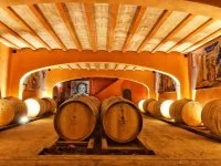 MOULIN DE LENE - CHAI A BARRIQUES &copy;2019 - Frayssinet - ADT H&eacute;rault Tourisme