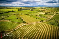 Le paysage des Côtes de Thongue © domaine de l'arjolle - Pouzolles